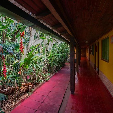Hosteria Los Helechos Puerto Iguazu Ngoại thất bức ảnh