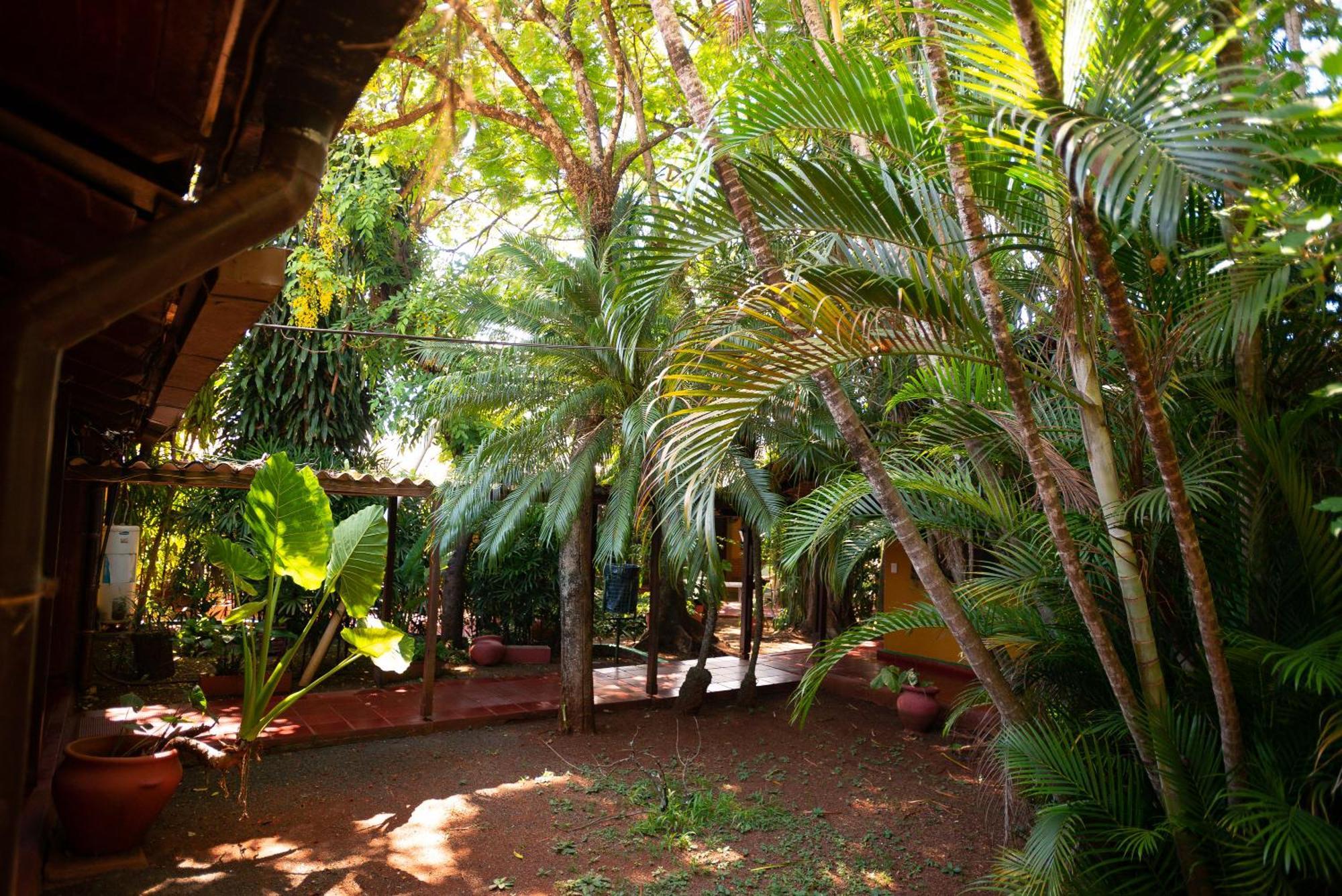 Hosteria Los Helechos Puerto Iguazu Ngoại thất bức ảnh